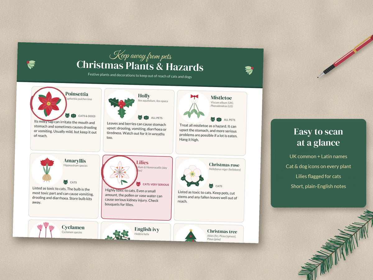 Christmas Plants Toxic to Pets Printable: Cat & Dog Fridge Poster, A4 & US Letter