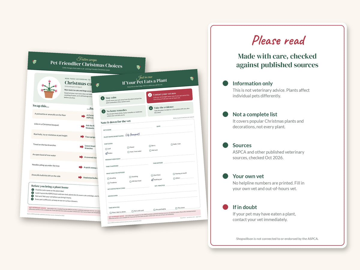 Christmas Plants Toxic to Pets Printable: Cat & Dog Fridge Poster, A4 & US Letter