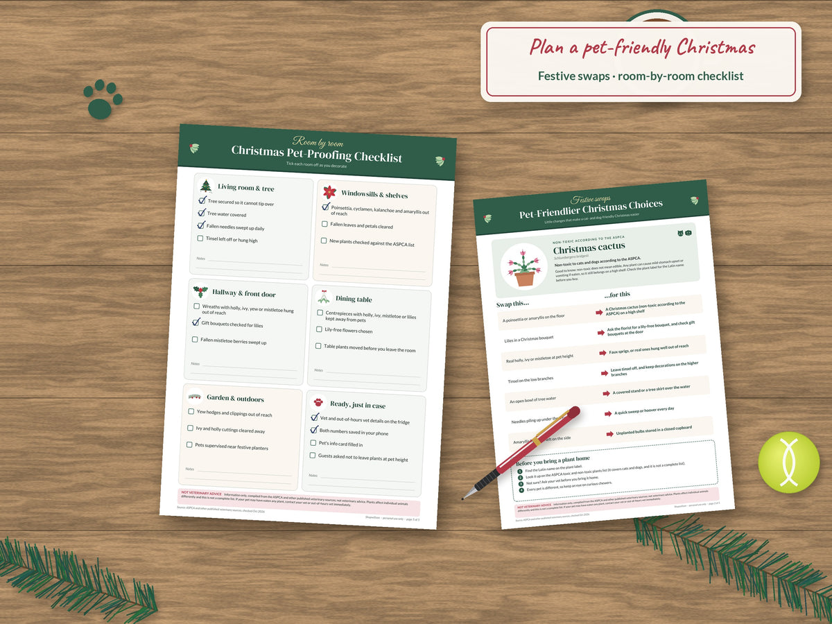 Christmas Plants Toxic to Pets Printable: Cat & Dog Fridge Poster, A4 & US Letter