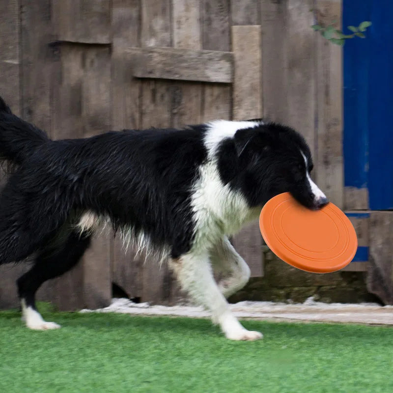 Silicone Flying Saucer for dogs