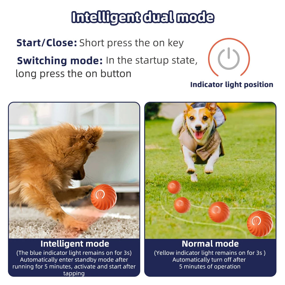 Electronic Interactive ball for dogs