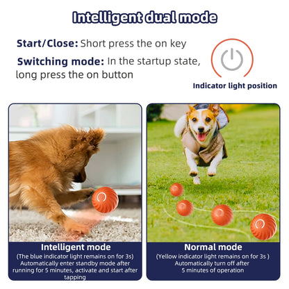 Electronic Interactive ball for dogs