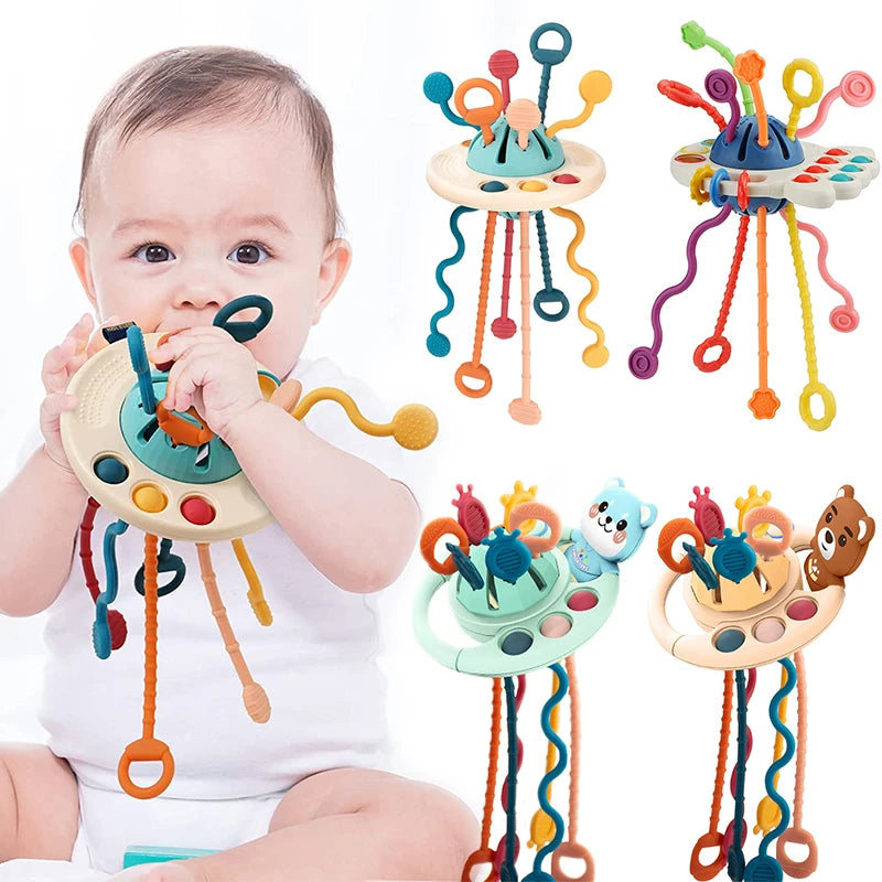 Baby Rattle Babies 6 12 Months