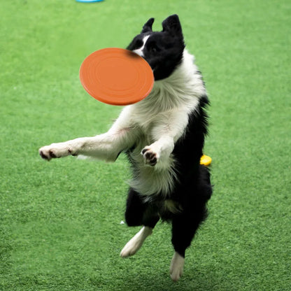 Silicone Flying Saucer for dogs