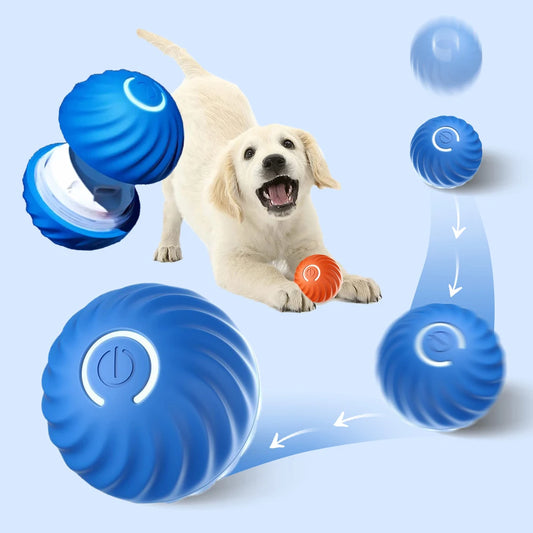Electronic Interactive ball for dogs