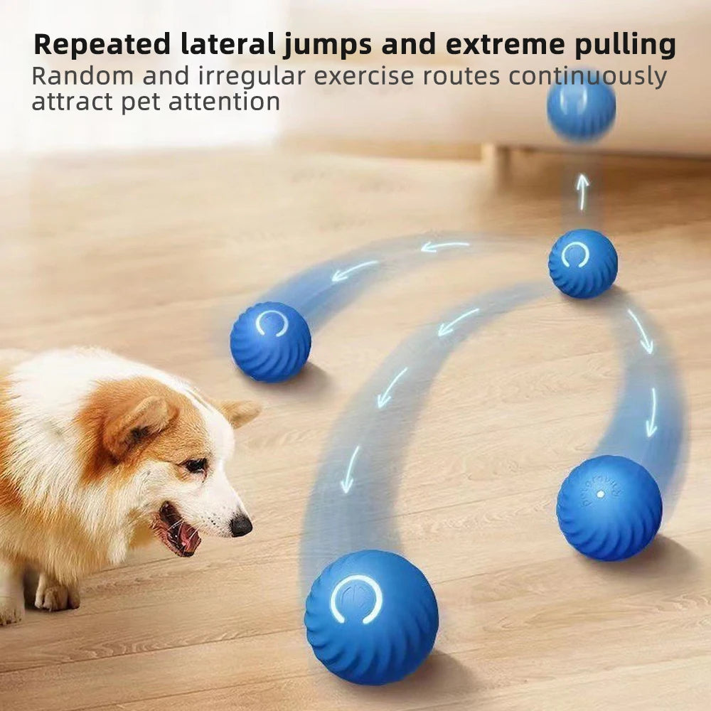 Electronic Interactive ball for dogs