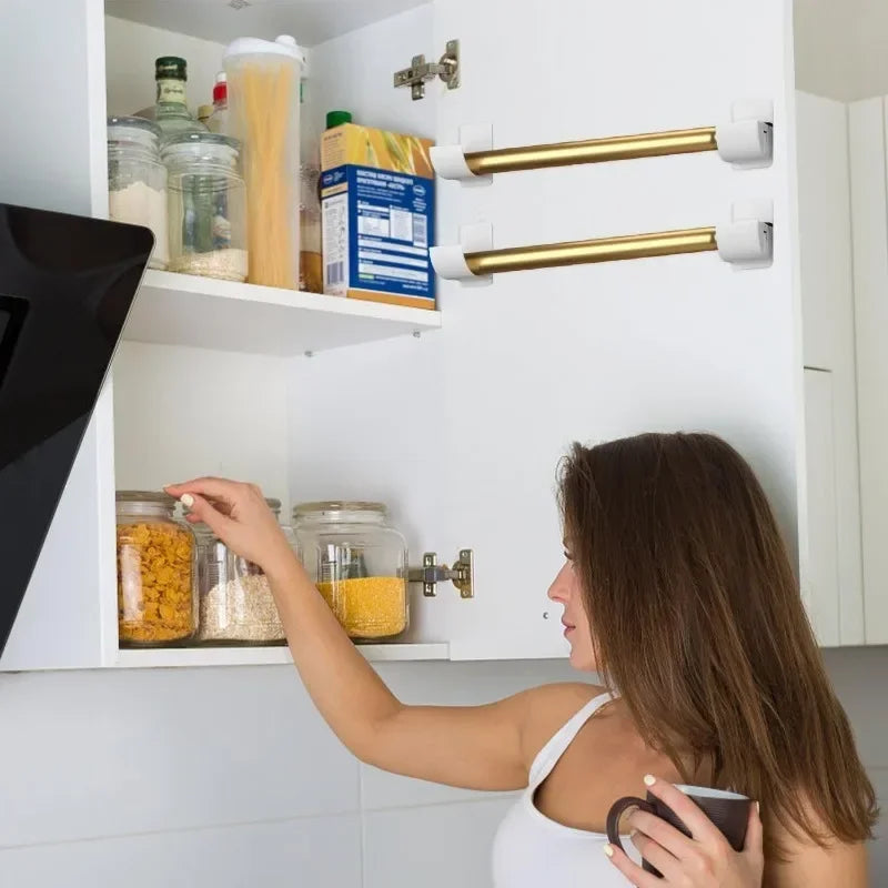 Wall-Mounted Plastic Bin Bag Holder & Storage Organiser