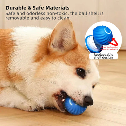 Electronic Interactive ball for dogs